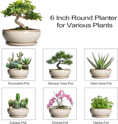 SQOWL Small Bonsai Pots - 6 Inch Ceramic Plant Pots for Succulents, Shallow Planter with Drainage Hole and Saucer, Round Planters for Indoor Outdoor Cactus Plants, House Decor, Birthday Gifts, Beige