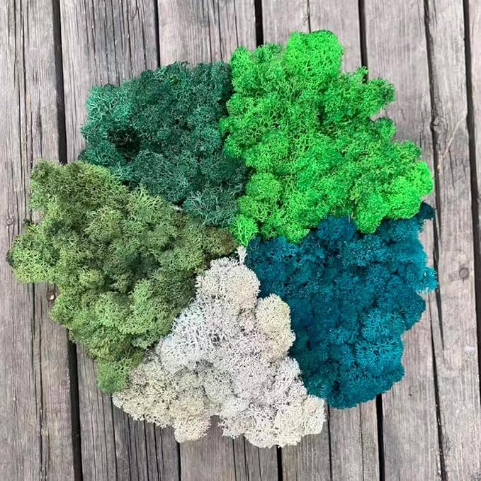 Preserved Reindeer Moss Natural Green DIY Kit Gardenning Art Wall Decor Florist Decor Easter Table Decor Wedding