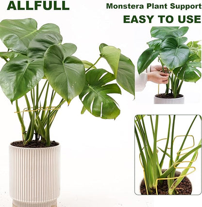 2 PCS Monstera Plant Support, Gold Monstera Stabilizer Grapple Holder, Unique Design for Turtle Shell Bamboo Clamp Set, Ideal Plant Stem Support Ring Stakes for Indoor Outdoor Climbing Plant