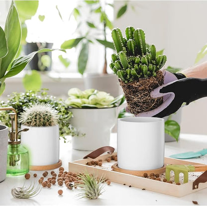 Cindeer 12 Pack Small Succulent Plants Pots 3 Inch Ceramic Flower Planter Pot and Bamboo Tray with Drainage Hole for Succulents Cactus Indoor Garden Decorations, Plant Not Included(White)