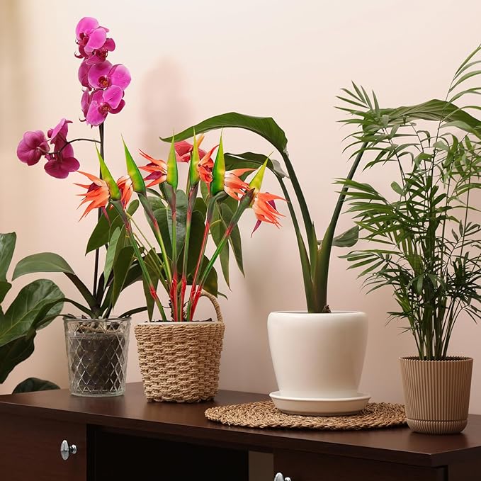 6 PCS Artificial Bird of Paradise Flowers, Real Touch 26inch Long Stem Flower Made of Soft Rubber PU for Indoor Outdoor Home Wedding Floral Arrangement Garden Party Decor (Orange)