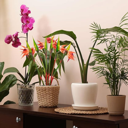 6 PCS Artificial Bird of Paradise Flowers, Real Touch 26inch Long Stem Flower Made of Soft Rubber PU for Indoor Outdoor Home Wedding Floral Arrangement Garden Party Decor (Orange)