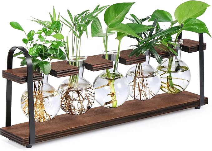 THYGIFTREE Plant Propagation Stations with Wooden Stand, Desktop Retro Plant Terrarium Bulb Vase for Indoor Hydroponic Flowers, Tabletop Glass Planter Housewarming Gifts for Plant Lovers