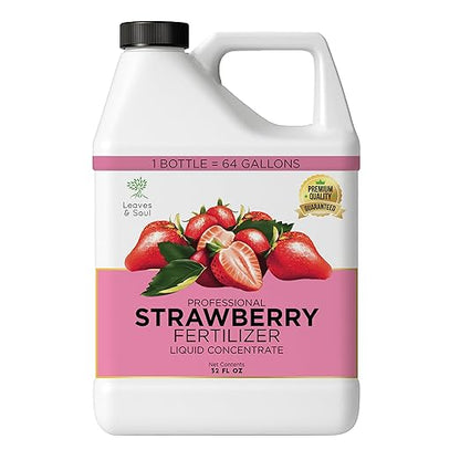 Leaves and Soul Professional Strawberry Fertilizer Liquid Concentrate - 6-4-6 Blend Liquid Garden Fertilizer for Strawberries - Plant Food for Strawberry Bushes and Plants - 32oz
