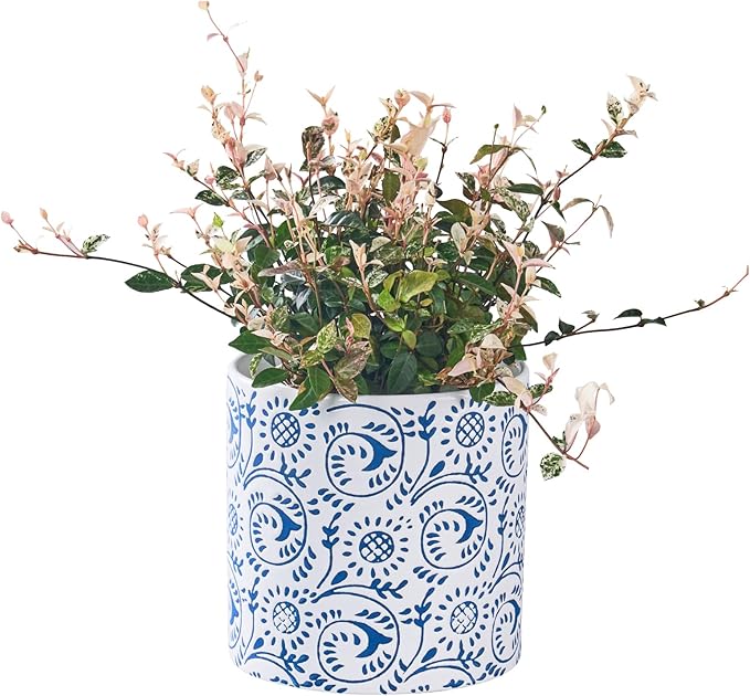 Blue and White Ceramic Plant Pot for Indoor Plants, 6 Inch Boho Flower Pot with Drainage Holes, Modern Planter for Home & Office Decor