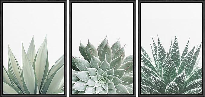 Ashbrook Framed Canvas Print Wall Art Set Green Desert Cactus Succulent Variety Nature Wilderness Photography Modern Art Minimal Chic Colorful for Living Room, Bedroom, Office - 16"x24"x3 Black