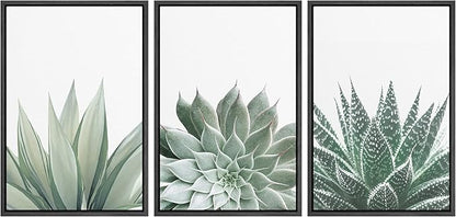 Ashbrook Framed Canvas Print Wall Art Set Green Desert Cactus Succulent Variety Nature Wilderness Photography Modern Art Minimal Chic Colorful for Living Room, Bedroom, Office - 16"x24"x3 Black