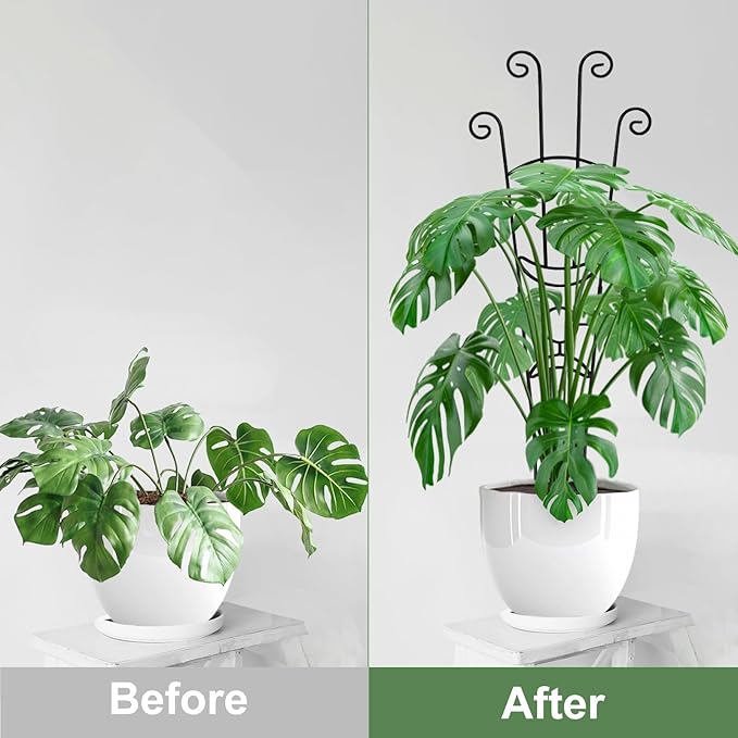 32.6in Monstera Plant Support Stakes for Indoor Plants, Metal Garden Plant Trellis for Climbing Plants, Pothos Vine Snake Climber Support，4p