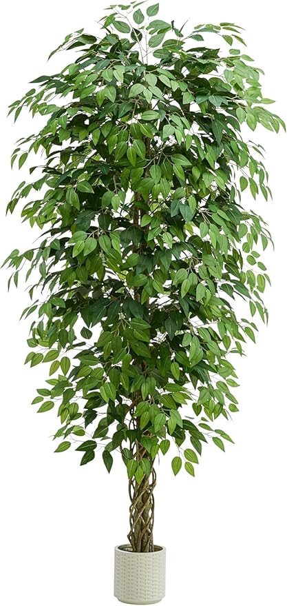 Artificial Ficus Tree,Black Pot (1, White, 5FT)