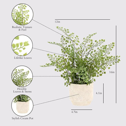 CG Hunter Faux Snake Plant & Fern, Set-of-2 Premium Artificial Indoor Plants, Enhances Interior Design, Lifelike-Leaves Create Realistic Natural Appearance, Grey Planter Pot Included
