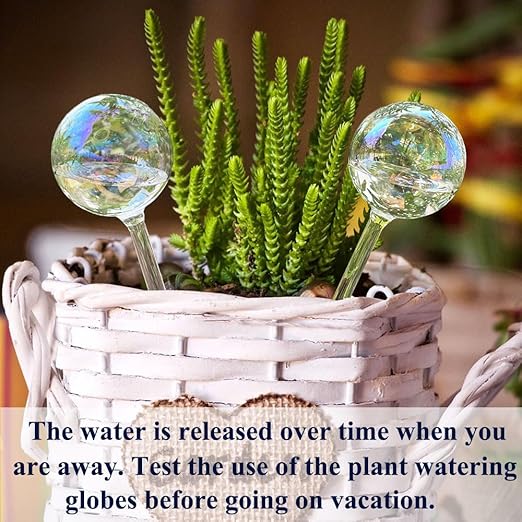 2pcs Glass Plant Watering Globes, Clear Rainbow Color Flower Self-Watering System Spikes, Automatic Plant Waterer Bulbs for Indoor & Outdoor Plants Everyday Use