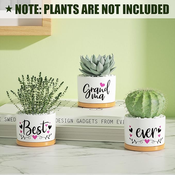 Christmas Grandma Gifts Best Gifts for Grandma from Grandchildren Granddaughter, Best Grandma Ever Succulent Pots for Plants Indoor Ceramic Planter, Gift Boxed Cute Grandma Birthday Thanksgiving Gifts