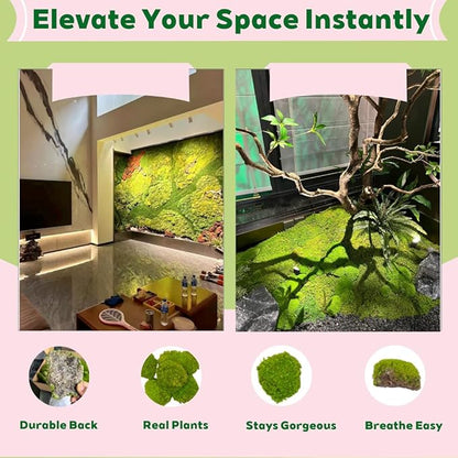 Preserved Moss for DIY Crafts - 1.5 sq.ft Natural Dried Moss for Terrarium, Fairy Garden, Home Decor, Wall Art, Floral Arrangements - Flexible Real for Creative Projects, Dark Green