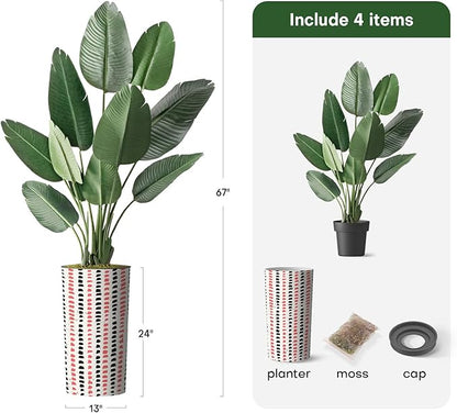 Artificial Tree in Contemporary Planter, Fake Bird of Paradise Silk Trees for Indoor and Outdoor Home Decoration - 67" Overall Tall (Plant Pot Plus Tree)