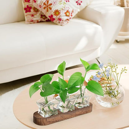 Plant Propagation Stations, Plant Lover Gift, Star Shaped Glass Vase with Wooden Stand for Propagating Hydroponic Home Office Garden Decor