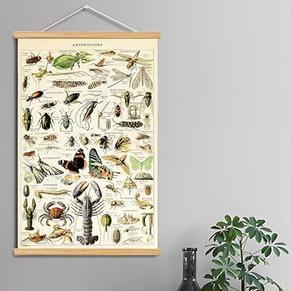Vintage Flowers Poster Hanger Frame, Plant Floral Reference Chart Wall Decor Cottagecore Room Decor Aesthetic, Retro Style Wall Decor Art Painting Prints. (insect B, 29L x 20W)
