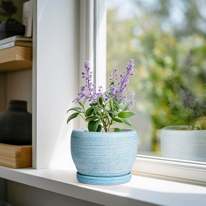 SQOWL Ceramic Planters for Indoor Plants - 6 Inch Plant Pot Indoor Outdoor, Decorative Flower Pot with Drainage Hole and Saucer, Round Succulent Planter, Home Apartment Decor, Garden Gifts, Blue