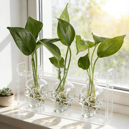 Clear Plant Propagation Station Plants Terrarium Planter Vase Birthday Gifts for Women Girl in Acrylic Stand Home Office Garden Decor