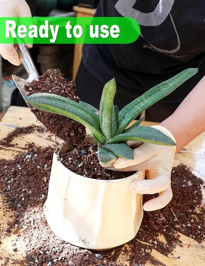 TOYPOPOR Succulent Soil, Cactus Potting Mix 12.5 Pounds/10QTS, High Drainage, Pre-Mixed Ready to Use for All Succulent Varieties, Indoor Plants, Bonsai, Terrarium, Houseplant, 30% Particles 70% Soil