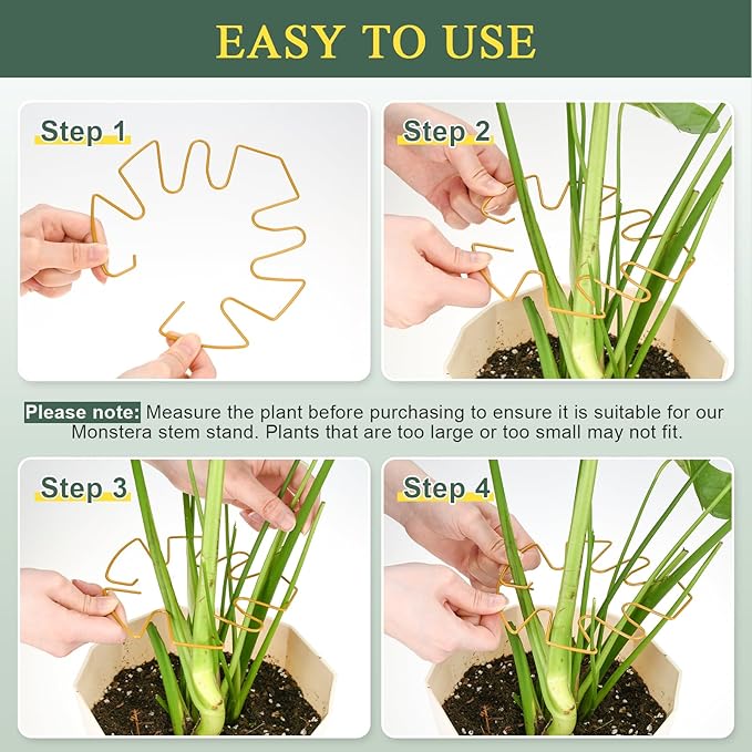 4 Pack Plant Stem Support, Adjustable Metal Monstera Plant Support Small 2PCS & Large 2PCS, Plant Supports for Indoor Plants Moss Pole Growth Plant Support Ring (Gold)