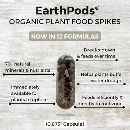 100 EarthPods - Premium Bio Organic Bonsai Tree Fertilizer Spikes - Special Formulated Money Tree & Lucky Bamboo Fertilizer - Made in USA