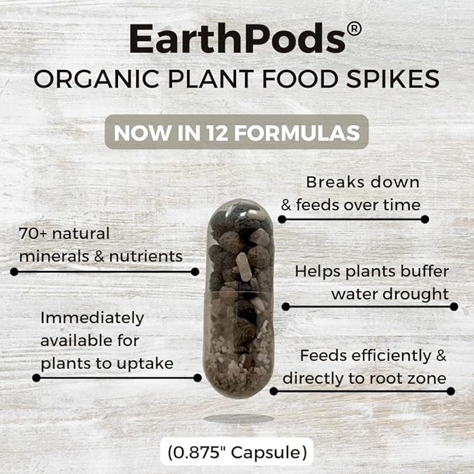 EarthPods® Organic African Violet Fertilizer Spikes – 100 African Violet Food Capsules - Made in USA