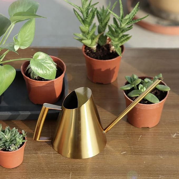 Watering Can, 1500ml Stainless Steel Long Spout Watering Cans, Gold Water Can Suitable for Potted Plants, Hanging Plants, and Outdoor Gardens