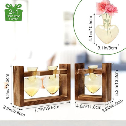 2+1 Plant Terrarium Plant Propagation Station Birthday Gifts for Women Home Office Decor with Wooden Stand