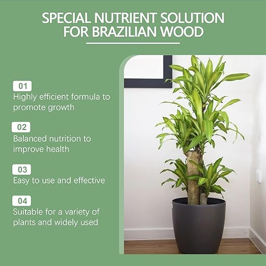 MoonSpry Brazilian Lucky Wood Plant Food, Lucky Bamboo Liquid Fertilizer，Brazilian Wood Indoor houseplant Fertilizer，Bamboo Indoor Plant Food，Fertilizantes de brasileña y árbol de la Suerte 1pc*100ml