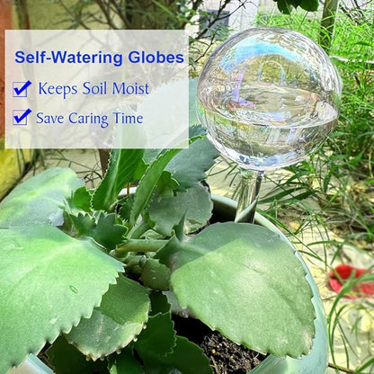 MOONSOUND 6pcs Glass Plant Watering Devices, Planter Self Watering Globes for Home Potting, Garden Flower Plant Watering Spikes Automatic Plant Water Bulbs Set for Indoor Outdoor Plant Daily Watering