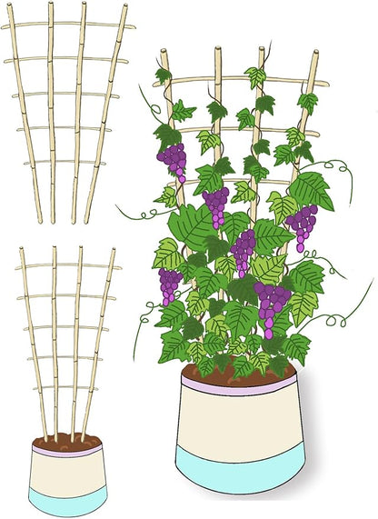 Natural Bamboo Trellis, 4Feet,6Pack,Fan-Shaped Plant Support Trellis for Outdoor and Indoor Potted Climbing Plants,Vegetables, Cucumber, Tomato, Hoya,