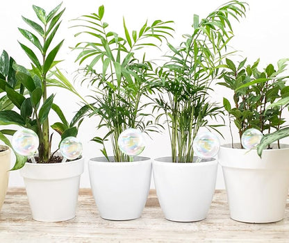 6Pcs Plant Watering Globes,Iridescent Rainbow Glass Self Watering Planter Insert,Clear Watering Bulbs for Indoor,Outdoor,Flowerpot,Hanging Plants,Home Garden(3 Large+3 Small)
