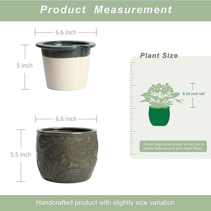6.5” Ceramic Self Watering African Violet Planter with Embossed Floral Design – Durable Indoor Plant Pot for Orchids, Succulents, and Houseplants