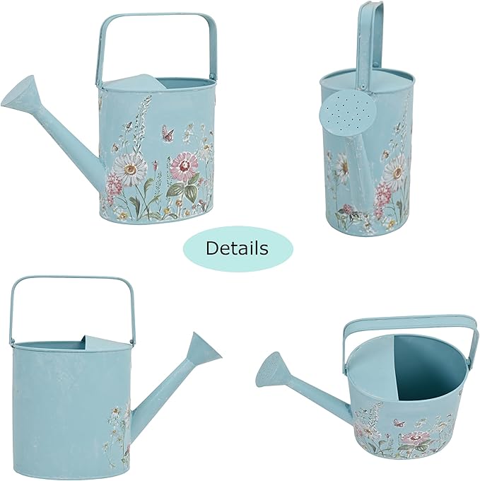 Metal Watering Can Flower Pot with Handle Rustic Farmhouse Water Can for Indoor Outdoor Garden Plants Watering (Blue#2)