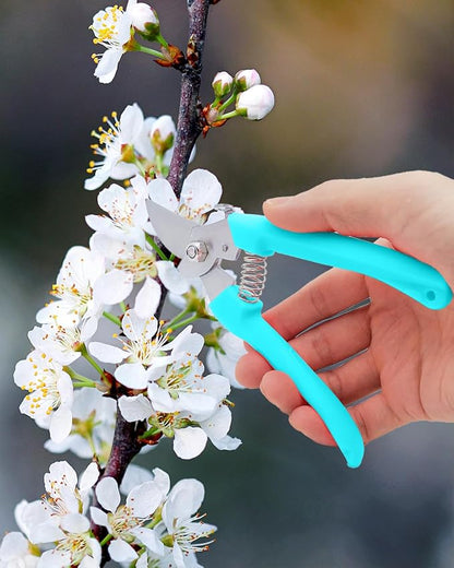 Pruning Shears for Gardening, 2 Pack Garden Scissors for Cutting Fresh Flowers, Floral Clippers for Plants, Fruits (Blue)