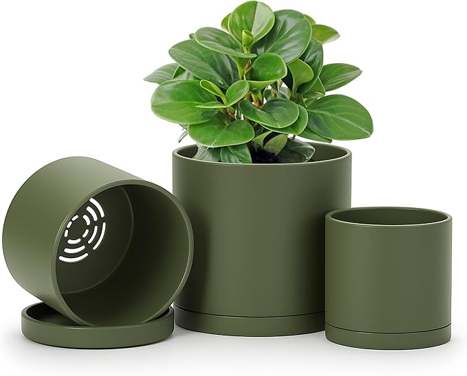 D'vine Dev 4 Inch 5 Inch 6 Inch, Set of 3 Plastic Planter Pots for Plants with Drainage Hole and Seamless Saucers, Olive, Small, 74-V-I-1
