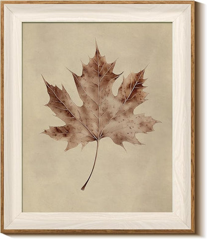 InSimSea Framed Wall Art Maple Leaf Specimen Print Shelf Decor Classic Vintage Plant Illustration Wall Picture Canvas Artwork for Nursery Bathroom Bedroom Kids Room Decor 12L x 10W