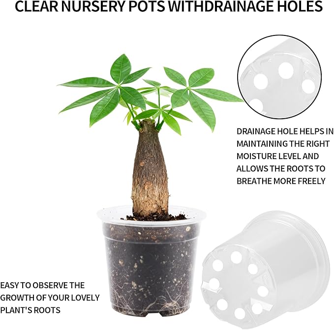 40 Pcs Seed Starter Pots Kit 2.5/3.5/4/5 Inch Clear Nursery Pots for Plants for Seedlings,Succulents,Plastic Nursery Pots with Drainage Holes (10 of Each Size),Garden Pot for Outdoor Indoor (Size A)