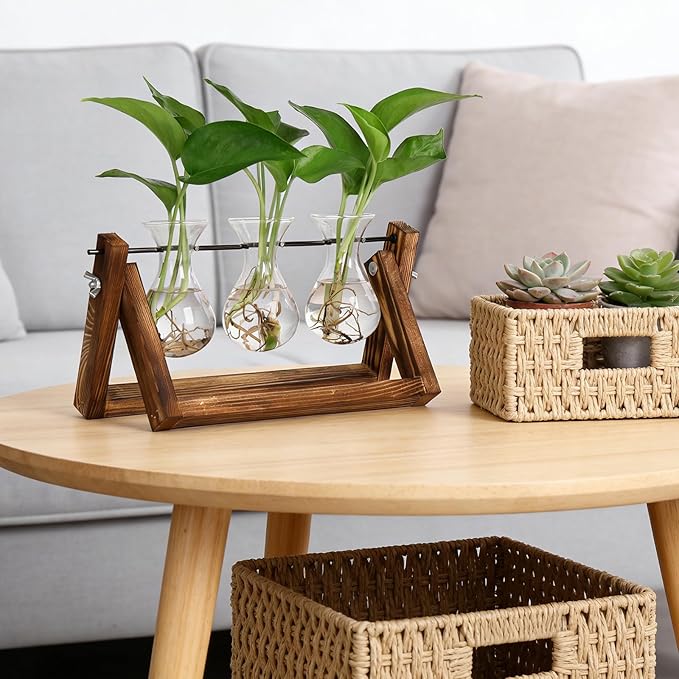 YIBOT Propagation Stations,Plant Terrarium with Retro Wooden Stand, Unique Gardening Birthday Gifts for Women Plant Lovers, Hydroponics Plants Home Office Garden Decor - 3 Bulb Glass Vases