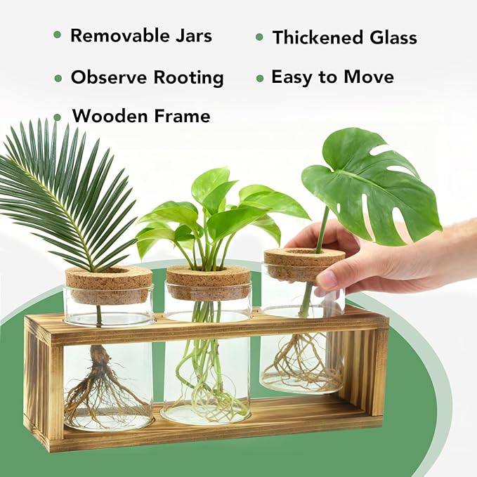 Propagation Stations, Plant Terrarium for Indoor Hydroponic Decor, Glass planters for Fresh Cuttings, Unique Birthday Gifts for Women & Mom, Home/Office Decor