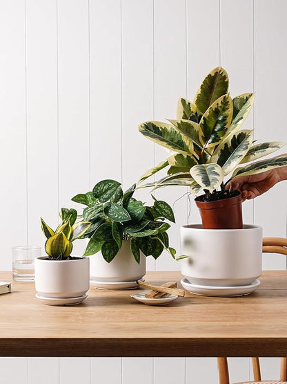 LE TAUCI Ceramic Pots for Plants, 6.8 Inch Plant Pots with Drainage Hole & Saucer, Modern Planter for Indoor Plants, Stable & Durable, Perfect for Living Room or Office Decor, White