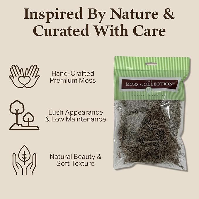 Preserved Spanish Moss - Premium Decorative Moss for Crafts, Home Décor, Art, Design & DIY Projects - Real Moss - Non-Toxic, USA-Made (Natural, Small, 2-Pack)