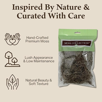Preserved Spanish Moss - Premium Decorative Moss for Crafts, Home Décor, Art, Design & DIY Projects - Real Moss - Non-Toxic, USA-Made (Natural, Small, 2-Pack)