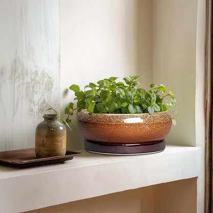 Bonsai Tree Pots - 8 Inch Ceramic Succulent Planter Indoor Outdoor, Bonsai Pots with Drainage Hole and Saucer, Shallow Plant Pots, Round Planters, Kitchen Decor, Gifts for Women, Retro Brown