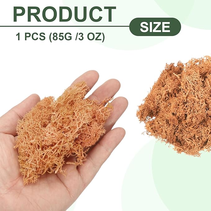 MECCANIXITY 3oz Preserved Reindeer Moss, Orange Decorative Artificial Fake Moss for Potted Plants Indoor Crafts Lichen Centerpieces Decor