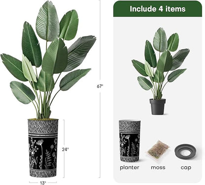 Artificial Tree in Black and White Modern Planter, Fake Bird of Paradise Silk Tree for Indoor and Outdoor Home Decoration - 67" Overall Tall (Plant Pot Plus Tree)