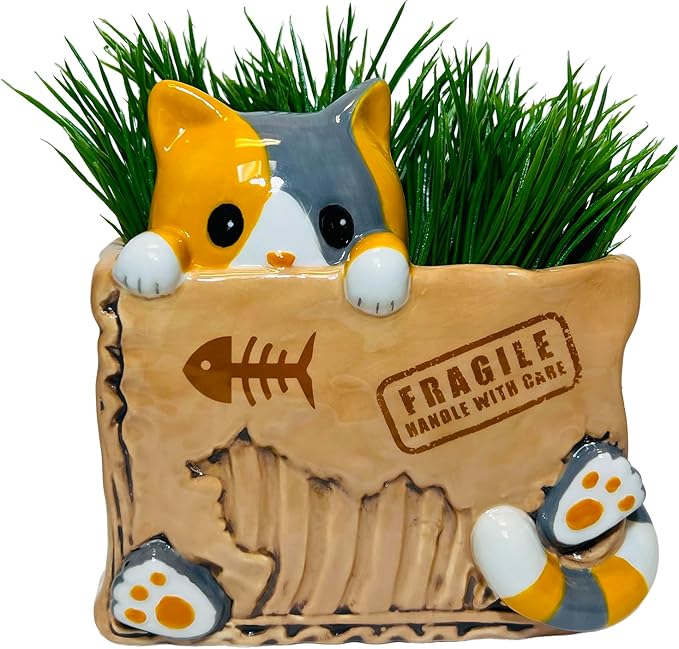Box Planter with Cat Design by Streamline