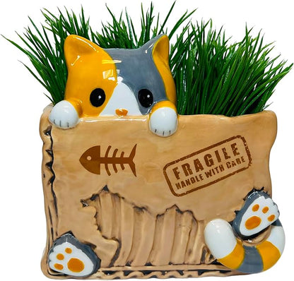 Box Planter with Cat Design by Streamline