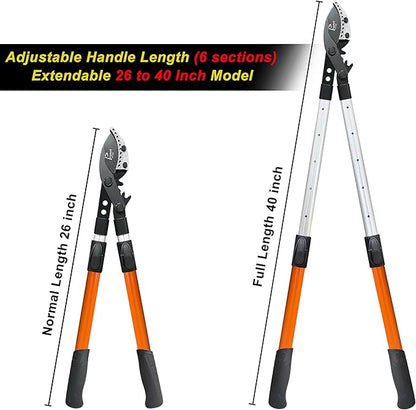 Loppers for Tree Trimming Heavy Duty, 26-40 Inch Handle Telescopic Tree Trimmer, Sync Drive Leverage Pruner, 2 Inch Branch Cutter