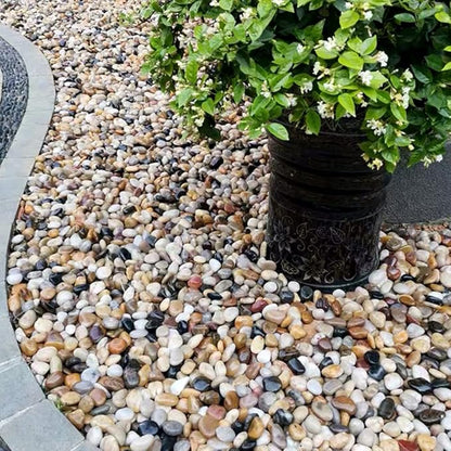 White Pebbles for Indoor Plants, Natural Polished River Rocks, Small Decorative Stones for Planters Vase Fish Tank Aquariums Landscaping Garden, 2lbs
